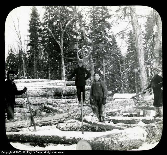 Men Rolling Logs